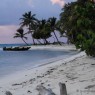 Petit Rameau Tobago Cays Grenadine - catamarani noleggio Antille - © Galliano
